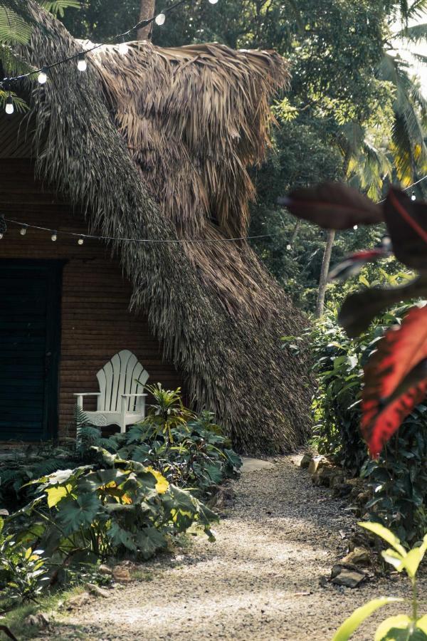 La Colmena Rd Otel Samana Dış mekan fotoğraf