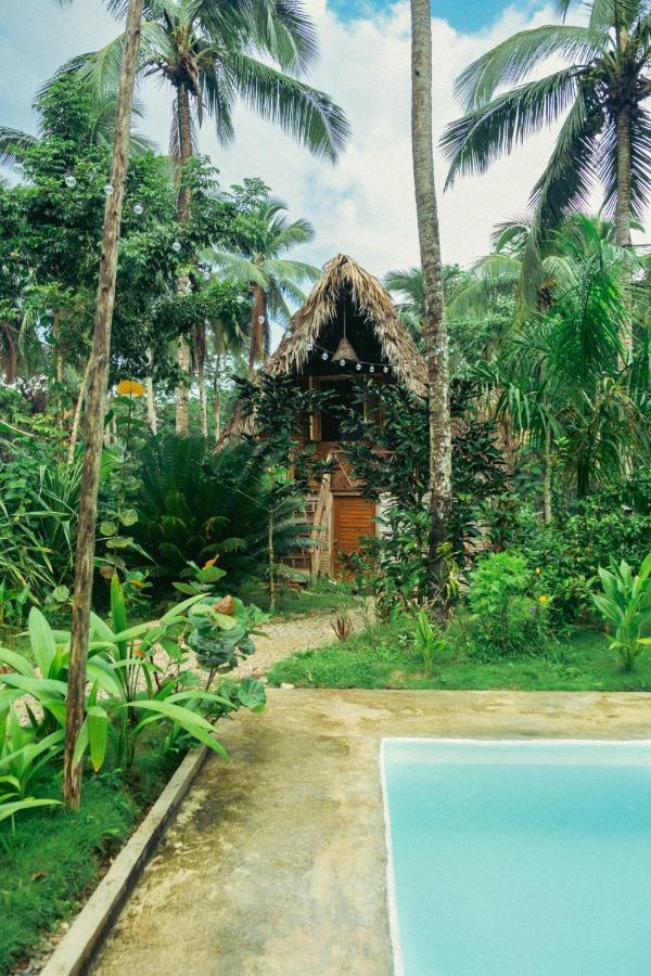 La Colmena Rd Otel Samana Dış mekan fotoğraf
