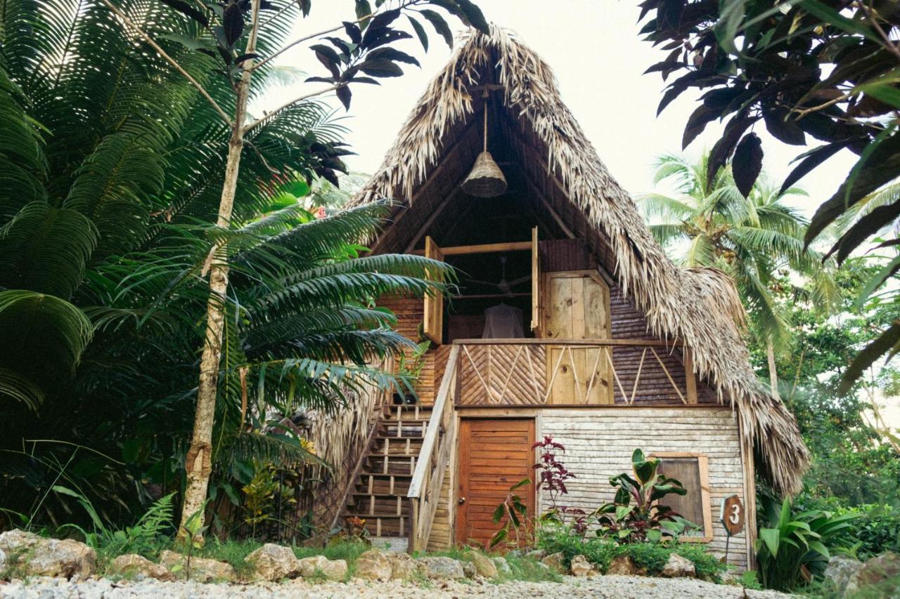 La Colmena Rd Otel Samana Dış mekan fotoğraf
